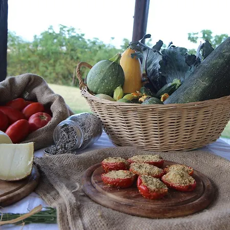 R&b Del Monte Bed & Breakfast Forli