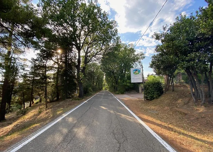 Oda ve Kahvaltı R&b Del Monte