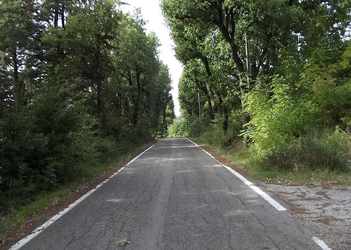 Oda ve Kahvaltı R&b Del Monte